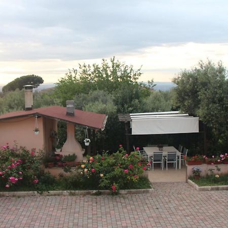 B&B La Terrazza Di פראסקאטי מראה חיצוני תמונה