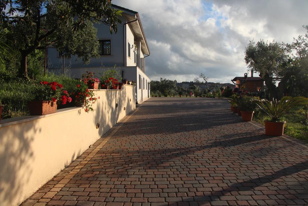 B&B La Terrazza Di פראסקאטי מראה חיצוני תמונה