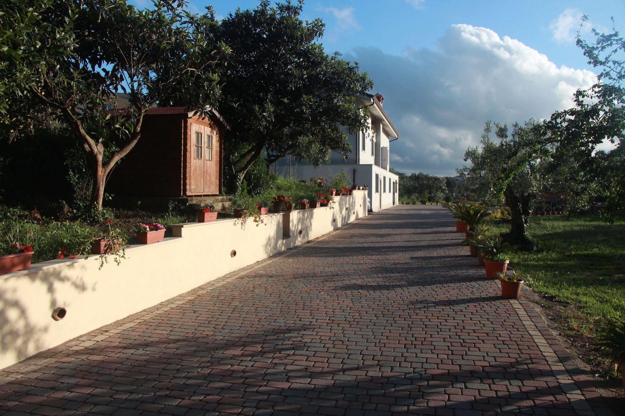 B&B La Terrazza Di פראסקאטי מראה חיצוני תמונה