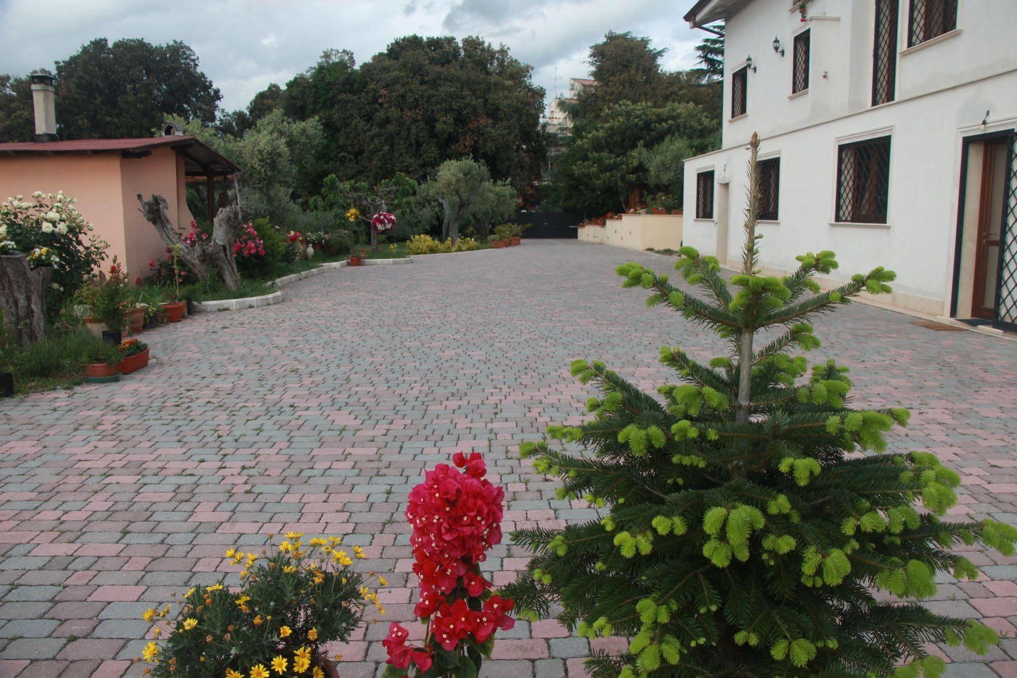 B&B La Terrazza Di פראסקאטי מראה חיצוני תמונה
