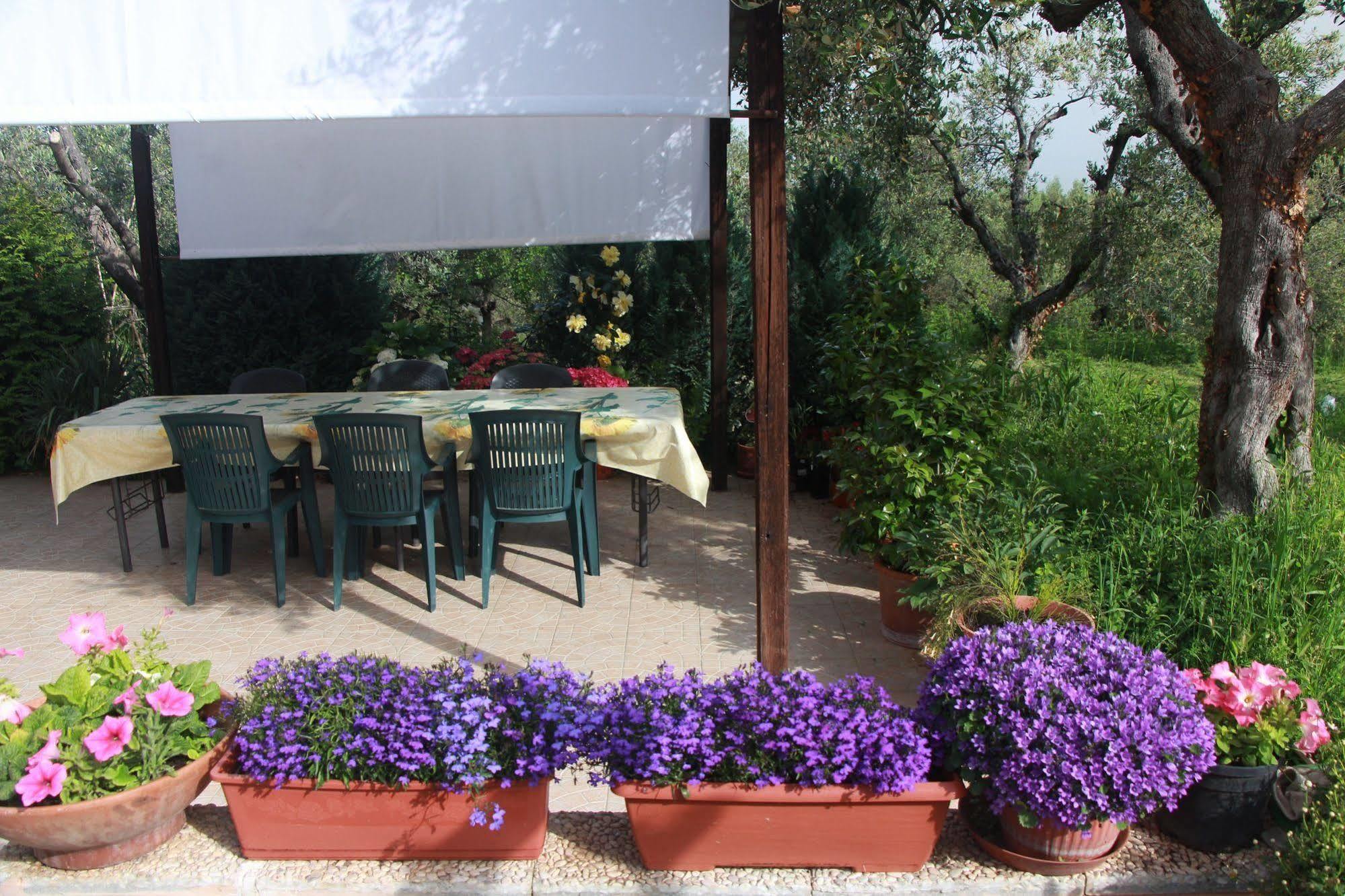 B&B La Terrazza Di פראסקאטי מראה חיצוני תמונה